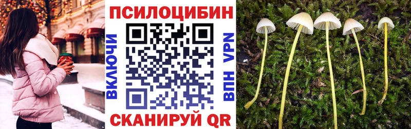 Галлюциногенные грибы Cubensis  Лагань 
